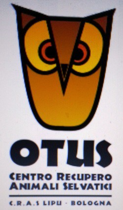 Recupero e Cura Animali Selvatici 